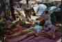 thm041_marketplace06.jpg