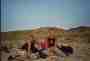 thm049_picknick04.jpg