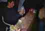 thm059_tomsbar03.jpg