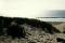 thm023_wegzumstrand.jpg