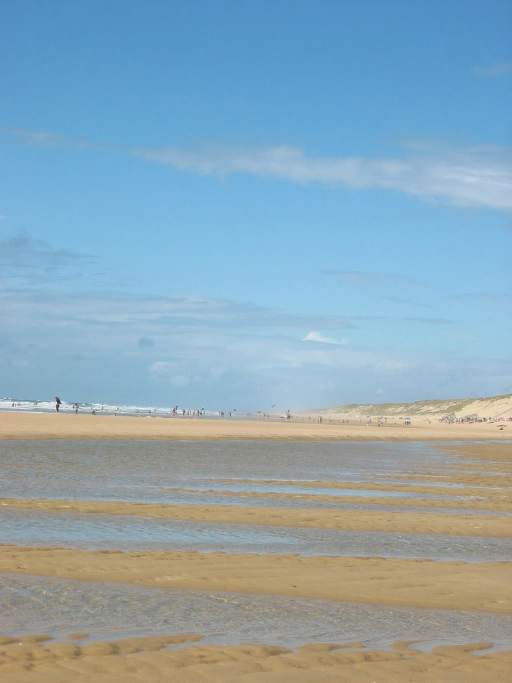 Ebbe (Nordblick)