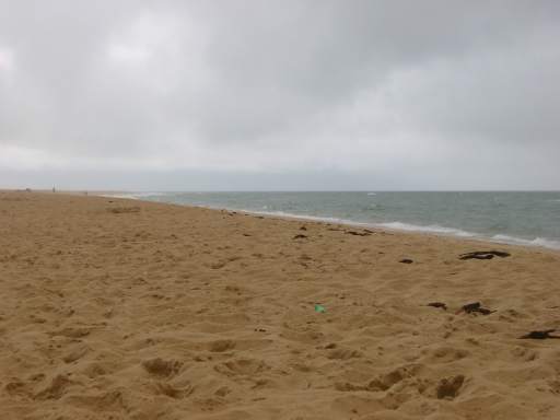 Strand bei Regen :-(leider oft 2002) sdblick