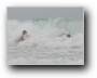 Wellen und Surfschule  