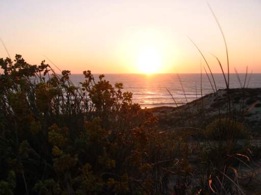 Sunset (Postcard)