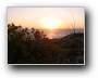 Sunset (Postcard)  