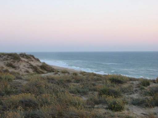 Sdblick im Abendlicht