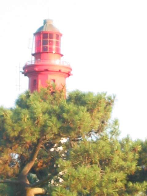 Pinien und Leuchtturm im Abendlicht (von Estells Terasse)