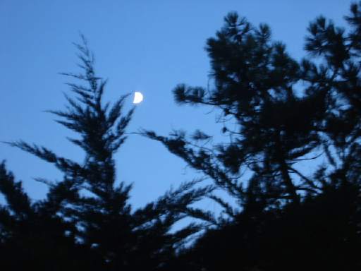 Mond am Abend