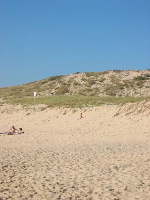 Dnenblick vom Strand