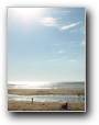 Silbermeer und Sandbank  