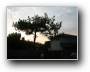 Morgenstimmung  