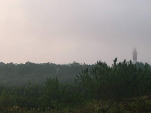 Erster Nebel
