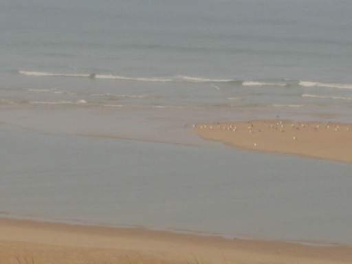 Mwen ruhen auf der Sandbank