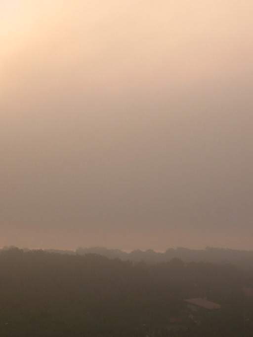 Nebelstimmung
