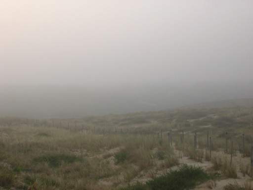 Nebel in den Dnen (Frh-herbst am 16.August)