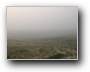Nebel in den Dnen (Frh-herbst am 16.August)  