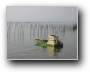 Morgenruhe am Bassin  