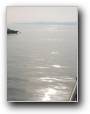 Morgenstimmung am Bassin  