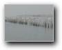 Morgenstimmung am Bassin  