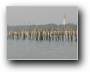 Morgenstimmung am Bassin  