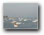 Boote vor Arcachon  