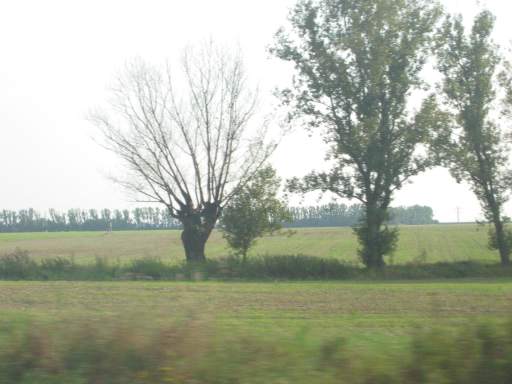 Brandenburg